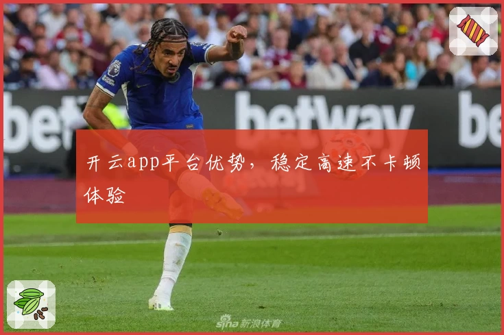 开云app平台优势，稳定高速不卡顿体验