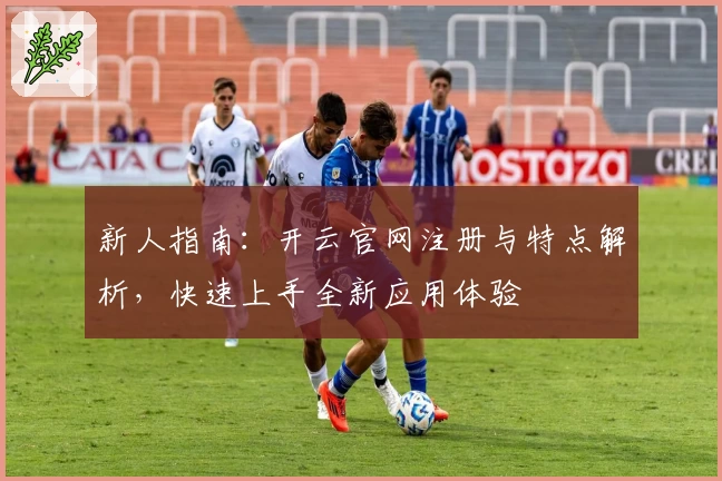 新人指南：开云官网注册与特点解析，快速上手全新应用体验